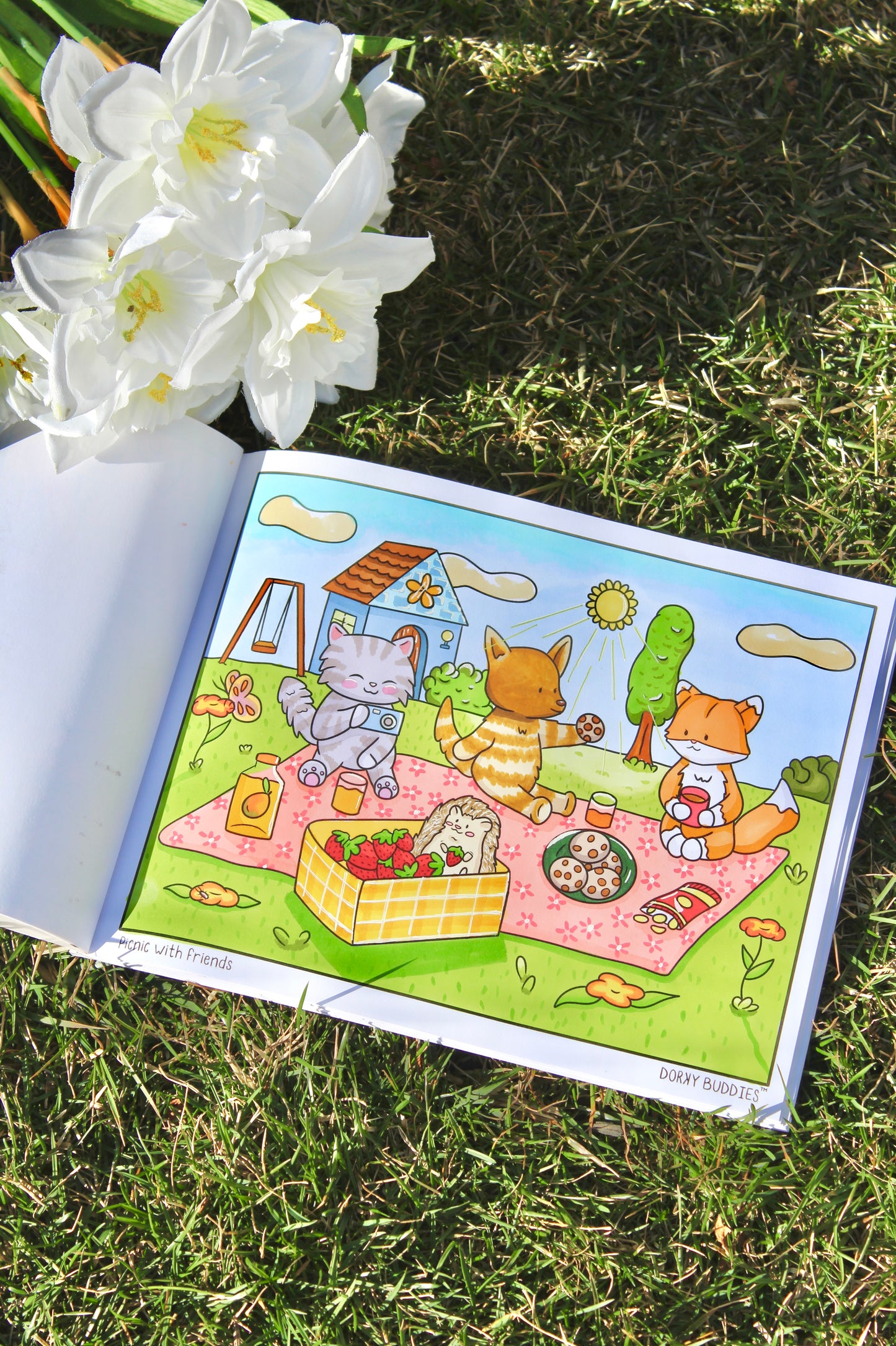 Activity ideas for dorkies